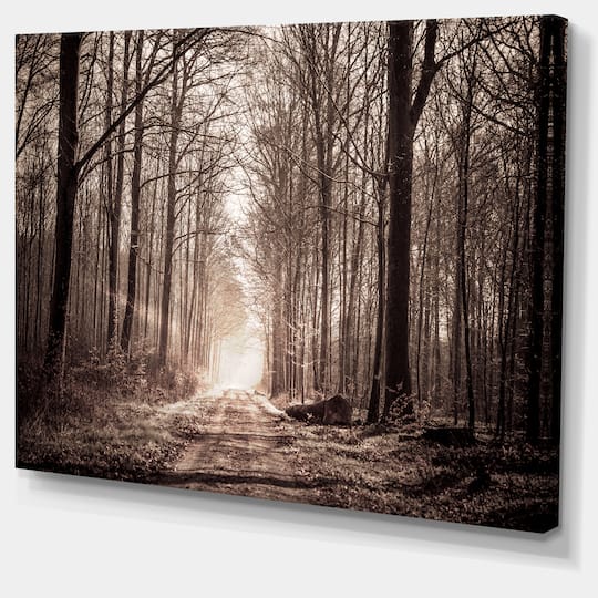 Designart - Forest Trail in Sepia